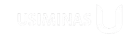 Usiminas